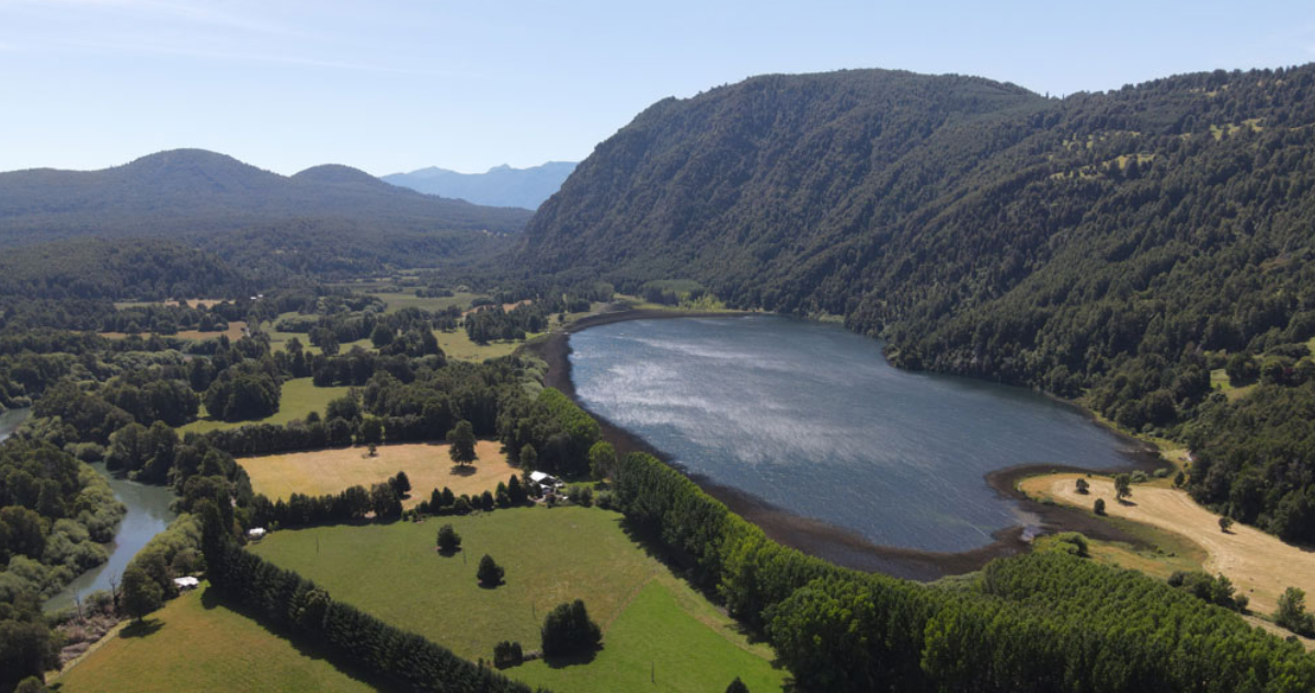 Millonarios anticipos y cero parcelas: afectados se querellan contra inmobiliaria por estafa en Pucón