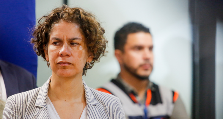 Ministra Rojas por revés judicial para proyecto Dominga: “Hay falencias muy importantes”