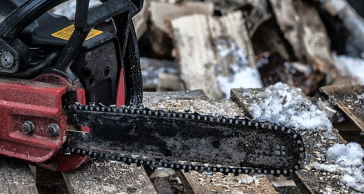 Detienen a hombre de 72 años por atacar a perro con una motosierra en Los Ángeles