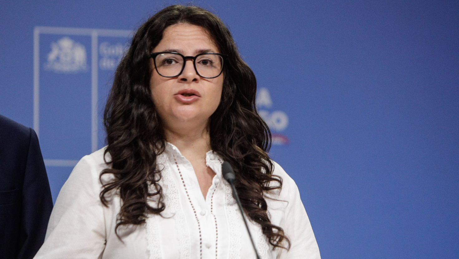 Orellana tras cruce Boric–UDI por Sala Cuna: “Cualquier gobierno querría partir con este tema zanjado”