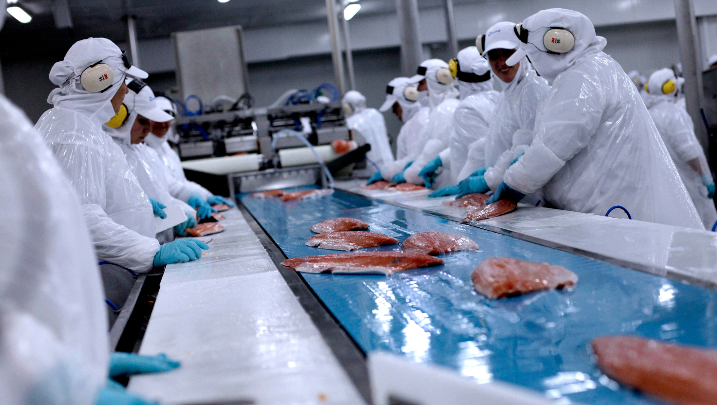 Otra pesquera a tribunales: Blumar se suma a Camanchaca y demandará al Estado por fraccionamiento