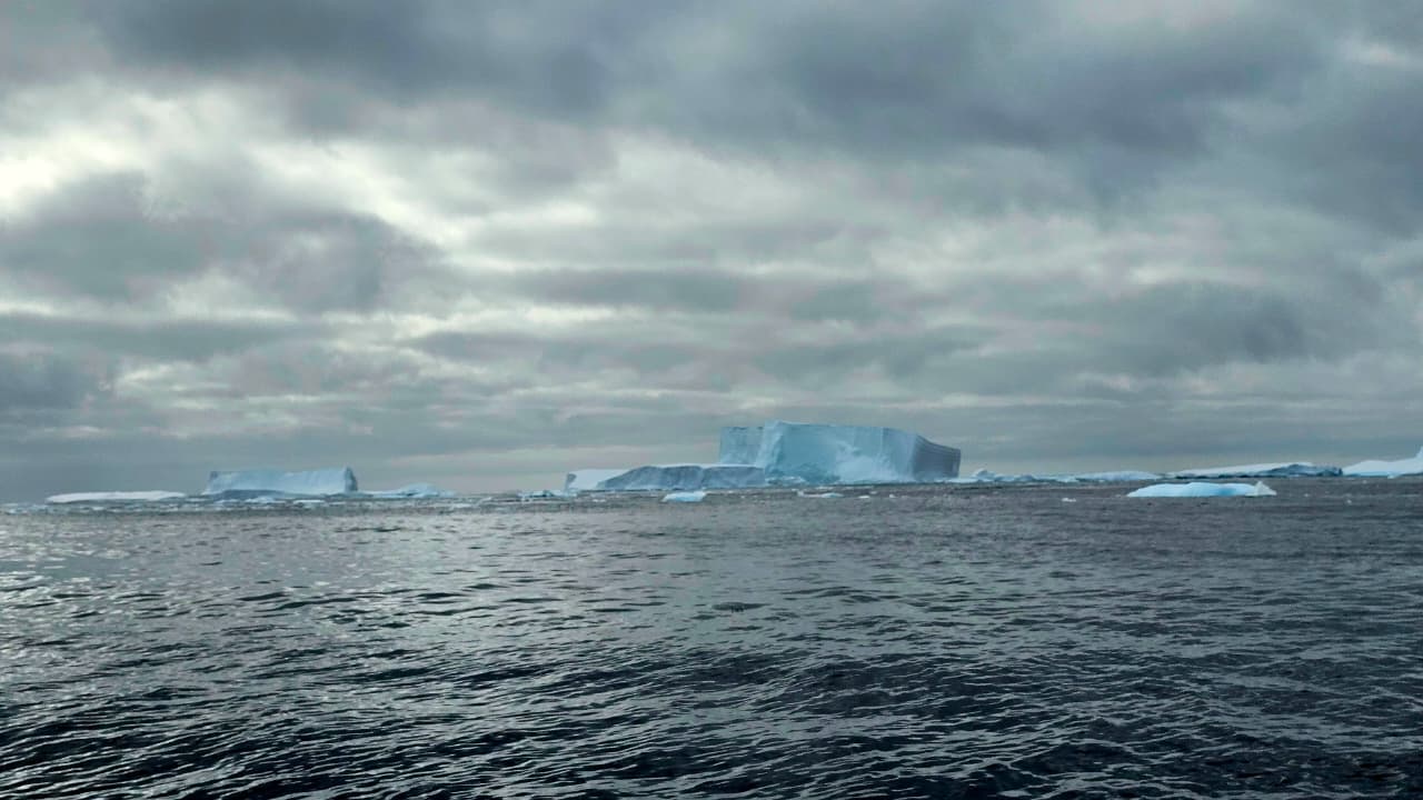 Paisaje antártico en uno de los puntos de muestreo.