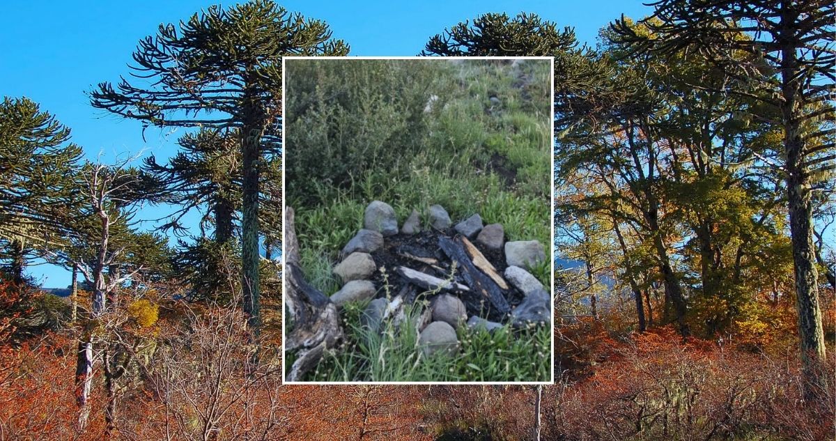 Aumentan guardaparques en Parque Nacional Conquillio por presencia de fogatas y fecas humanas