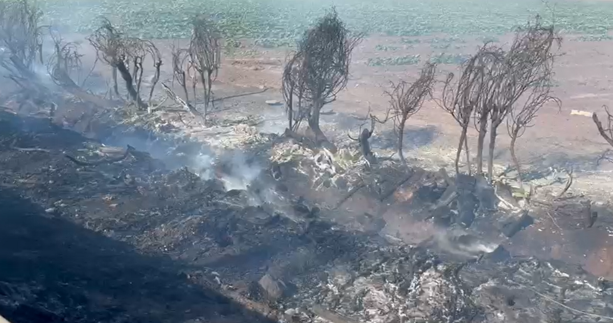 Jaime Sepúlveda | RBB