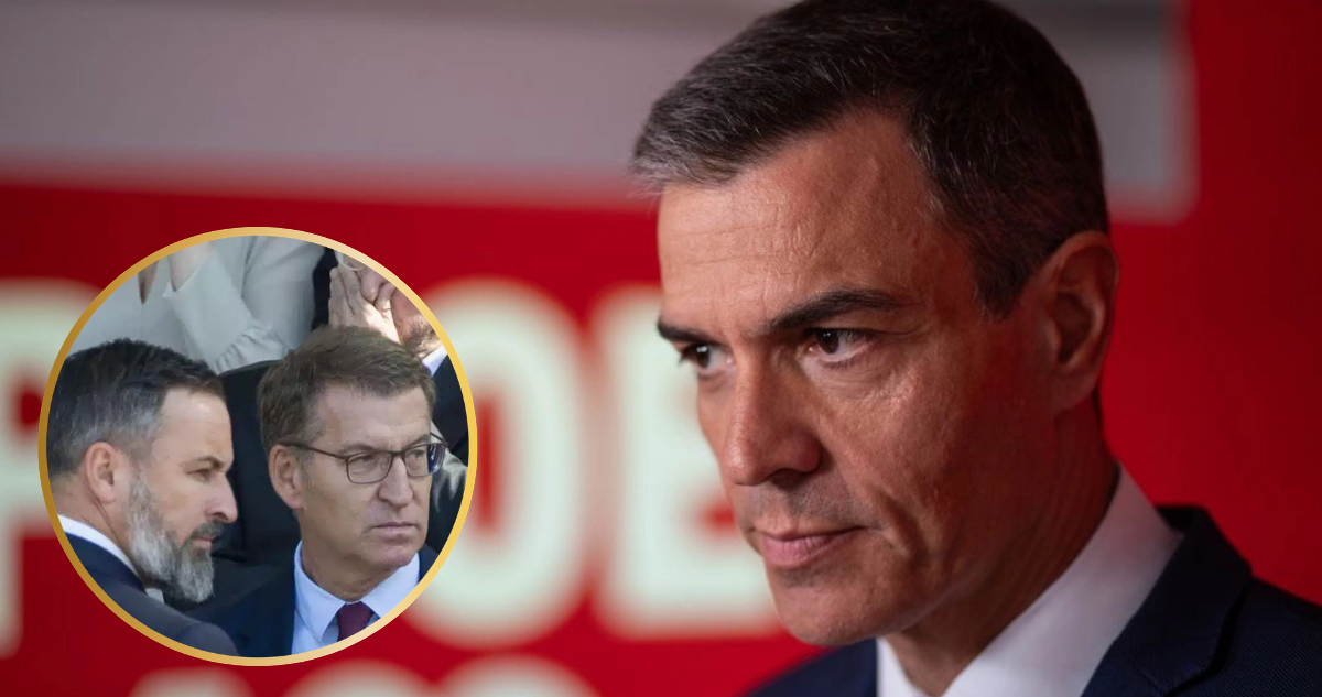 Pedro Sánchez en España