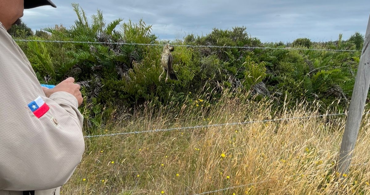 Zona de práctica de tiro en Puerto Montt
