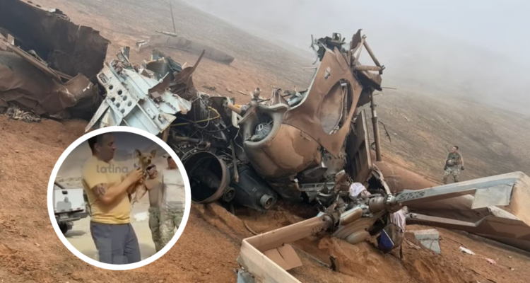 Perro fue el único sobreviviente de accidente aéreo en Perú: estaba junto a cadáver de su dueño