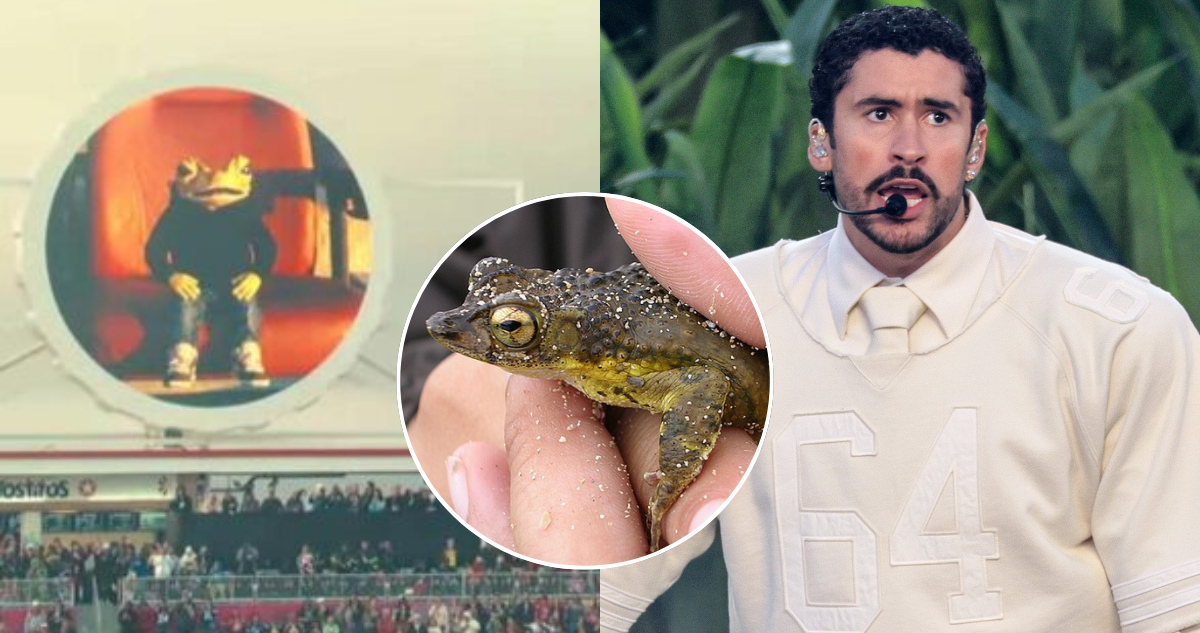 Fotos del sapo concho y Bad Bunny