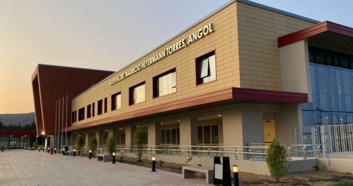 Por agresiones y sobrecarga laboral: funcionarios de Salud Mental protestan en Hospital de Angol