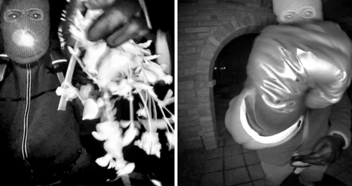 Publican fotos de sujeto manipulando cámara de la casa de madre de periodista de NBC secuestrada