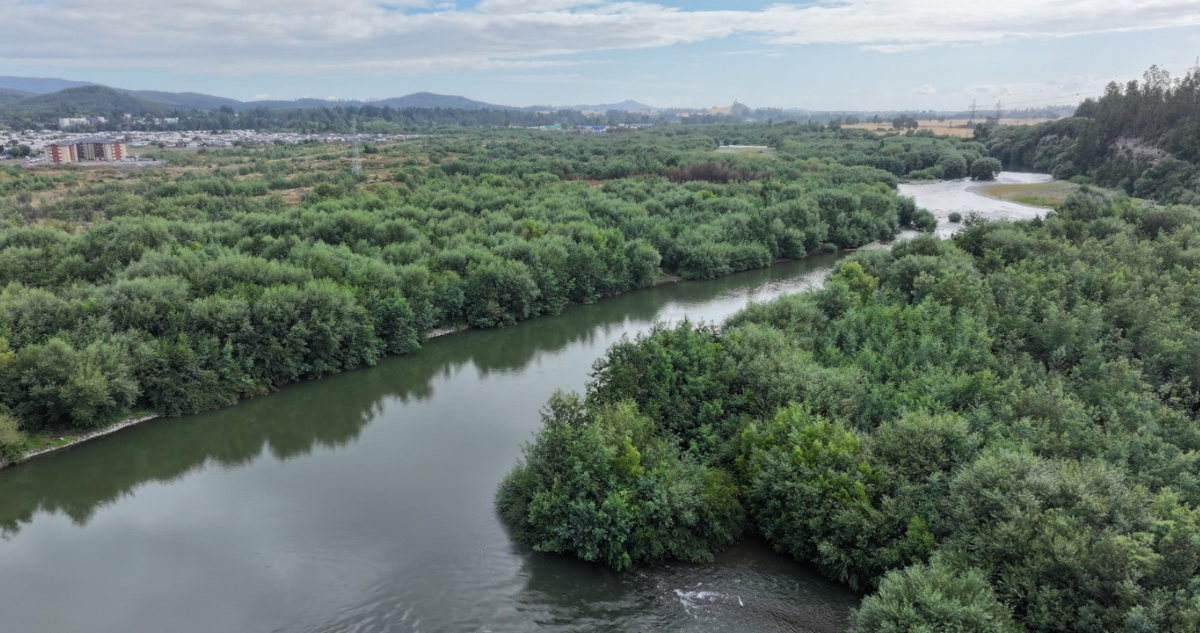 Termina cuarta de siete etapas previas al proyecto del “Plan Maestro del río Cautín”
