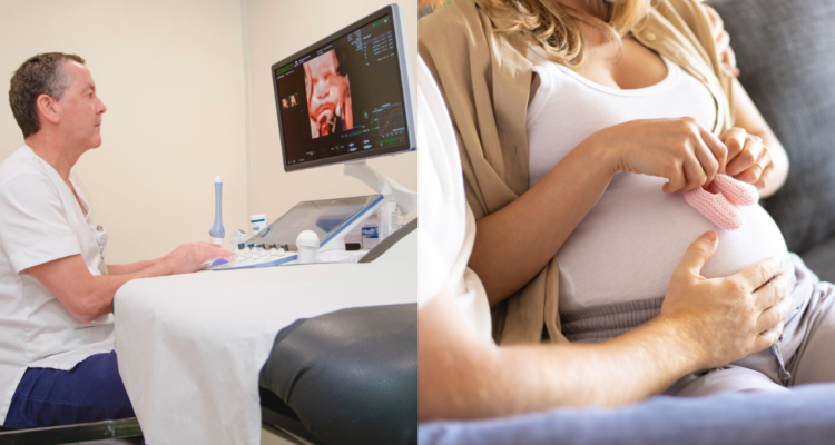 Investigación penquista aporta nuevos antecedentes para detección precoz de enfermedades en embarazo