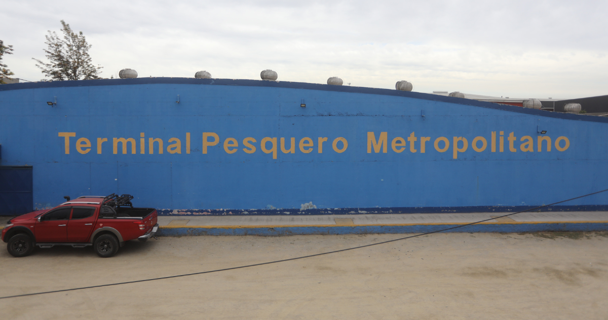 Diputadas piden fiscalización al Terminal Pesquero Metropolitano por denuncias a la administración