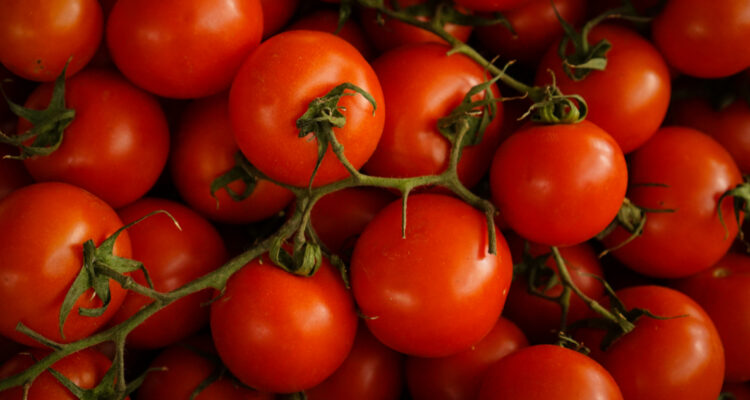 Foto de tomates para ilustrar nota sobre la bacteria que los enferma