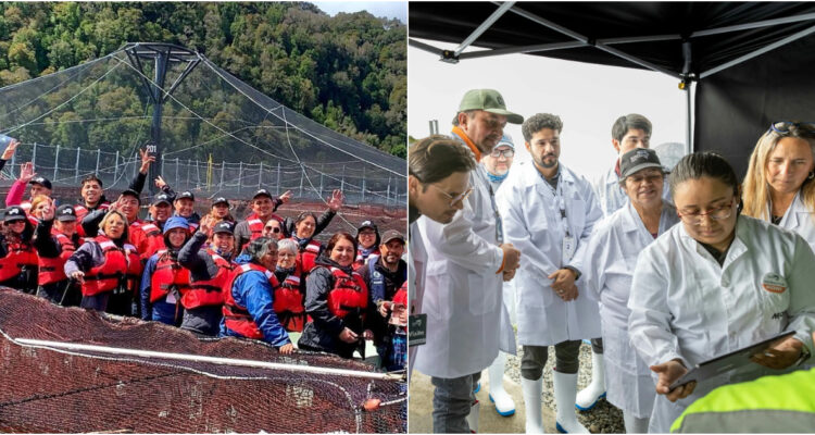 “Gratamente sorprendida”: programa abierto Turismo Salmonero da a conocer evolución de la industria