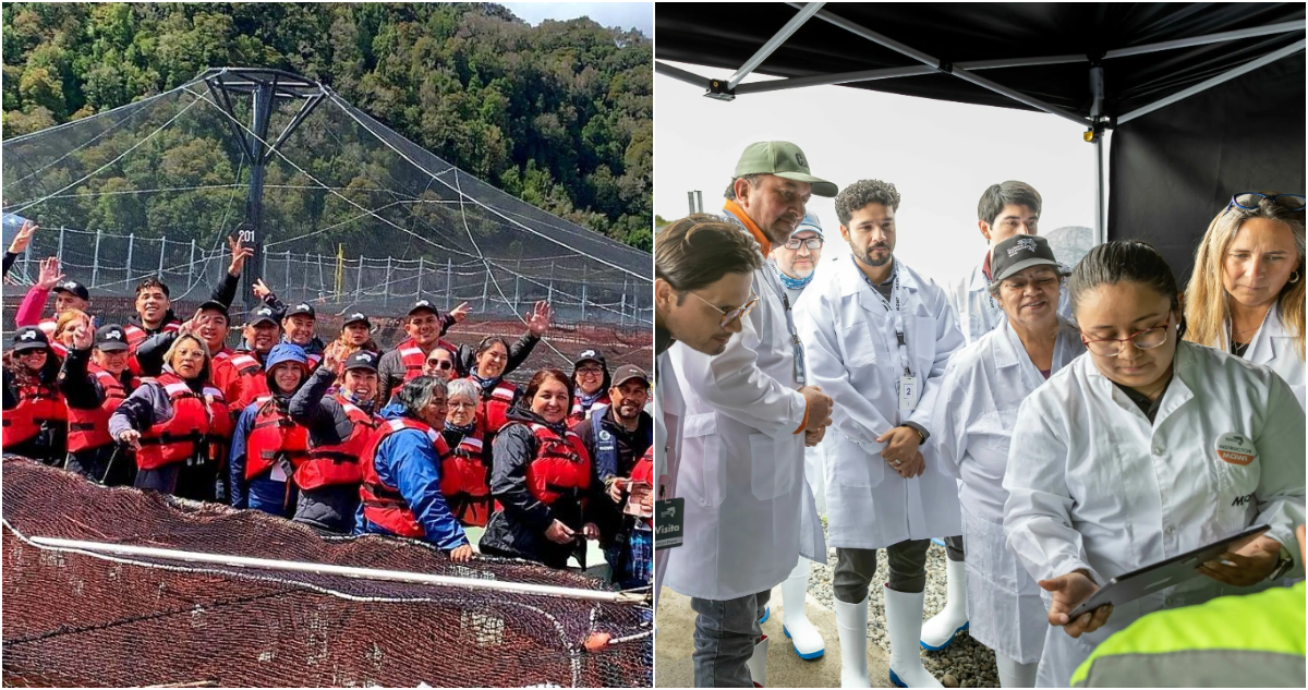 “Gratamente sorprendida”: programa abierto Turismo Salmonero da a conocer evolución de la industria