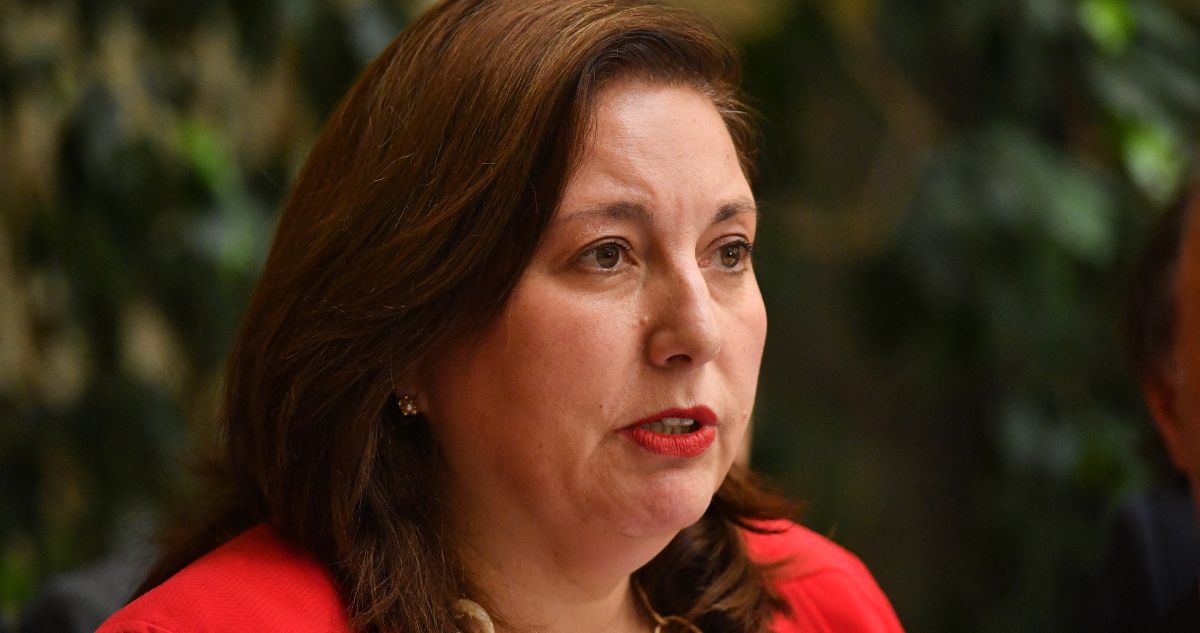 Candidatura de Bachelet: Vodanovic pide a futuro oficialismo un análisis y serio y no “barra brava”