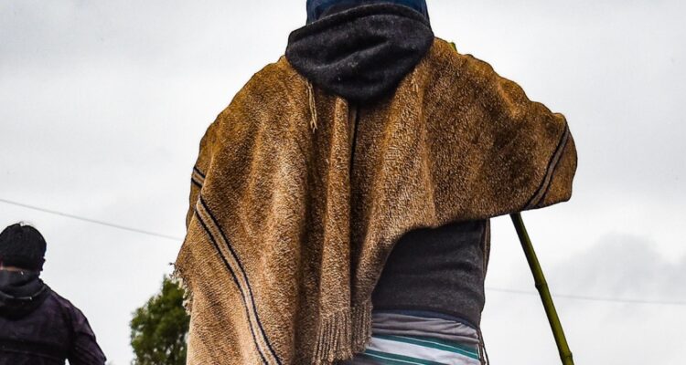 Absuelven a comunero acusado de robo de madera en Panguipulli