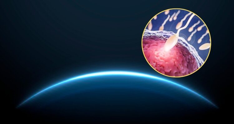 Gravedad afecta más de lo esperado a espermatozoides: tener hijos en el espacio podría ser imposible