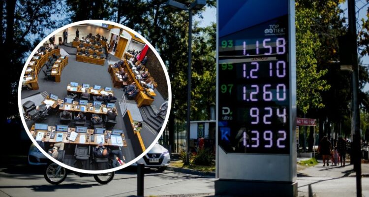 Bianchi propone suspender asignaciones de combustible que reciben parlamentarios y autoridades