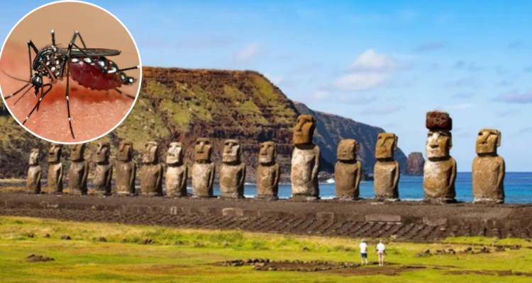 Brote de dengue en Rapa Nui suma 9 casos: hay dos hospitalizados