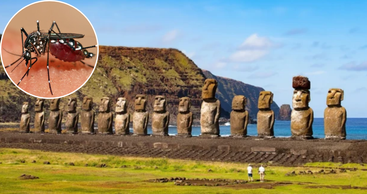 Brote de dengue en Rapa Nui suma 9 casos: hay dos hospitalizados