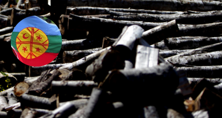 Condenan a dirigente mapuche Mijael Carbone y a otras tres personas por hurto de madera