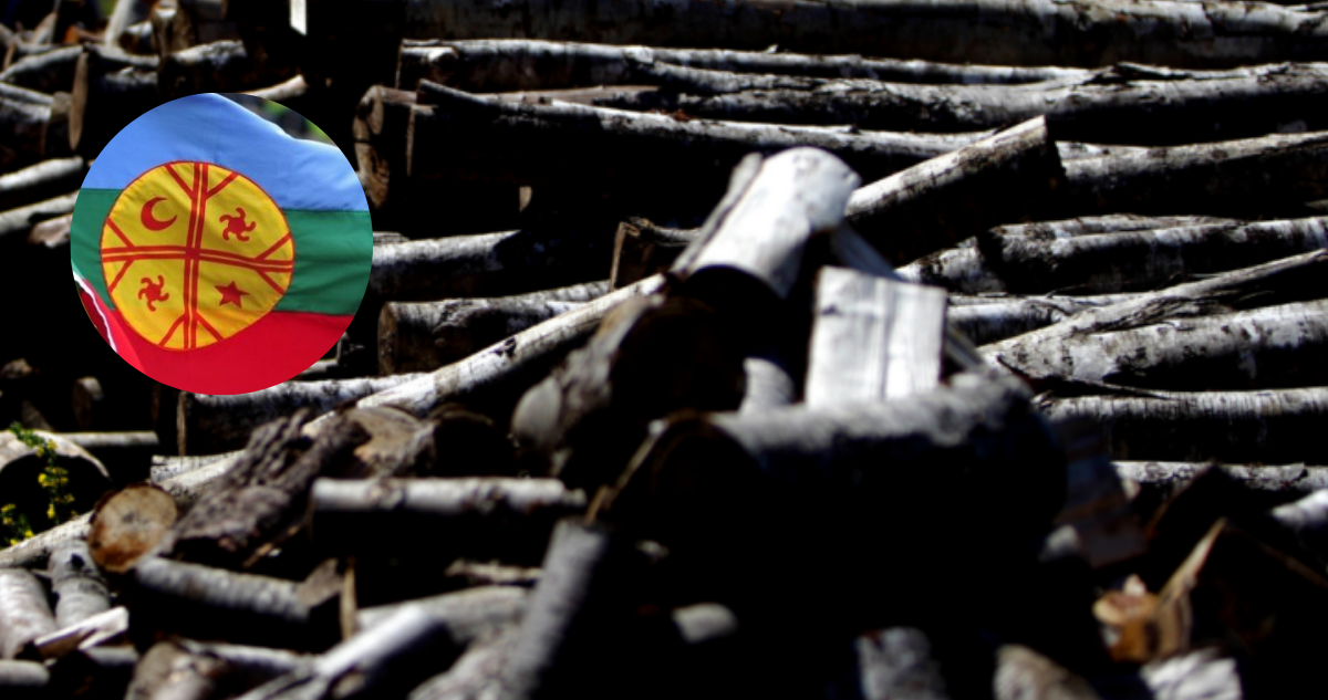 Condenan a dirigente mapuche Mijael Carbone y a otras tres personas por hurto de madera