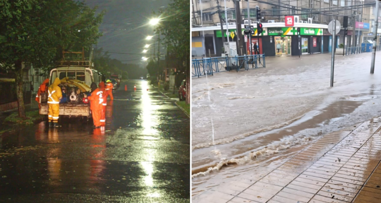 Caída de árboles, anegamientos y cortes de luz: región del Bío Bío bajo Alerta Amarilla por lluvias