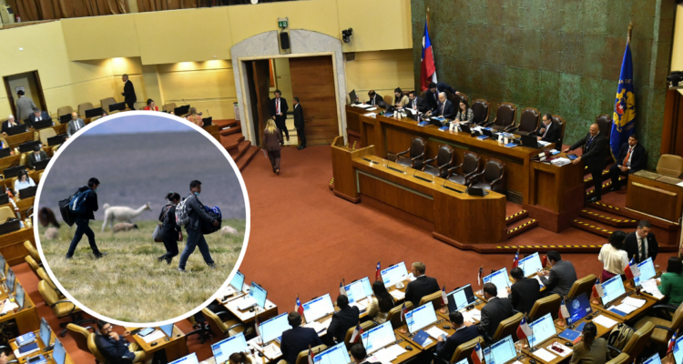 Cámara Baja aprueba proyecto que restringe el acceso de inmigrantes irregulares a beneficios fiscales