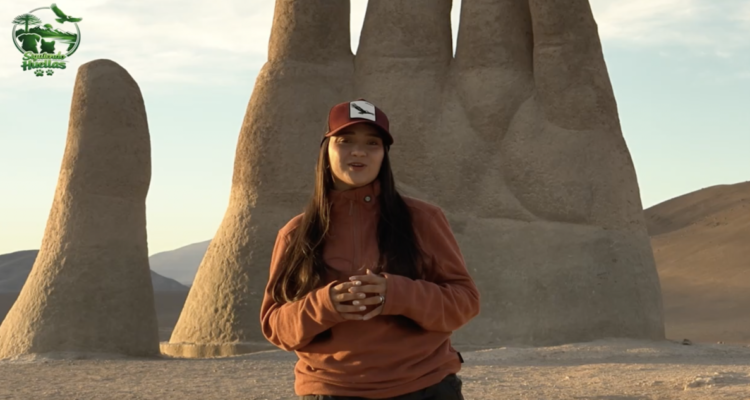 Siguiendo Huellas: Junto  a @turismo.physalus en la Reserva Marina Isla Chañaral