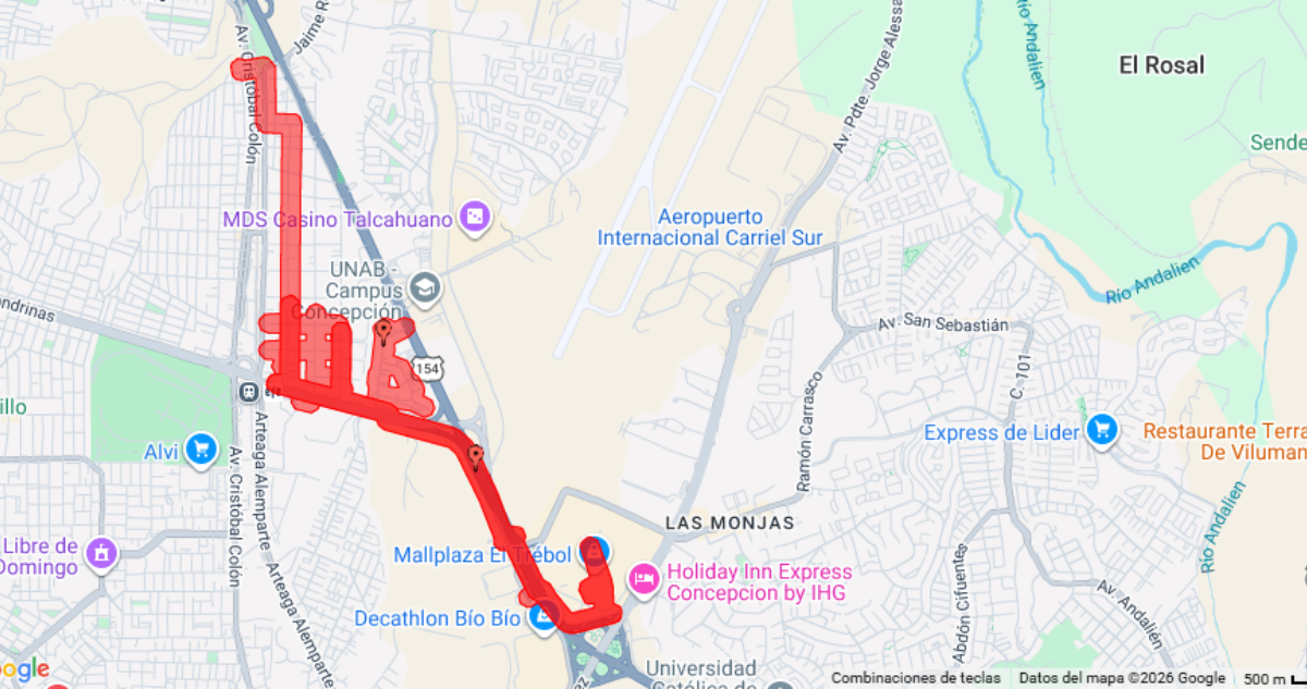 Caída de árboles, anegamientos y cortes de luz: región del Bío Bío bajo Alerta Amarilla por lluvias