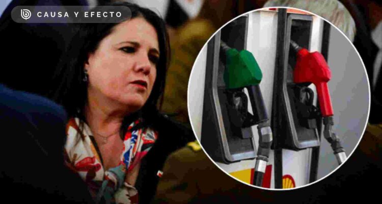 Golpe al bolsillo y controversia política: Los frentes abiertos por polémica del MEPCO y Steinert