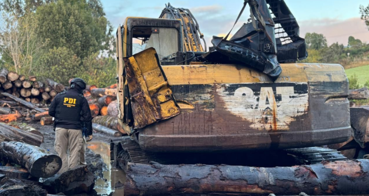 Chiloé: megaoperativo con 300 detectives deja 20 detenidos por robo de madera y usurpación de terreno