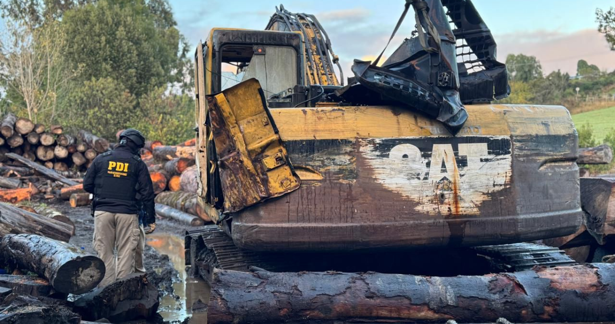Chiloé: megaoperativo con 300 detectives deja 20 detenidos por robo de madera y usurpación de terreno