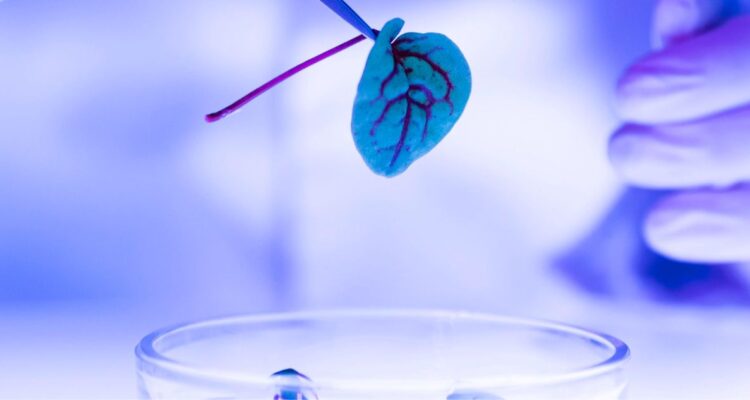 Beinao-2: el mini implante cerebral chino capaz de traducir impulsos neuronales en acciones reales