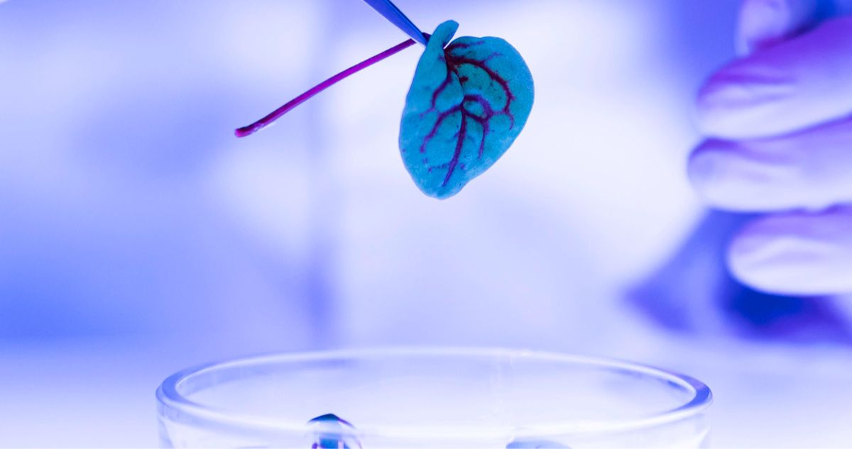 Beinao-2: el mini implante cerebral chino capaz de traducir impulsos neuronales en acciones reales