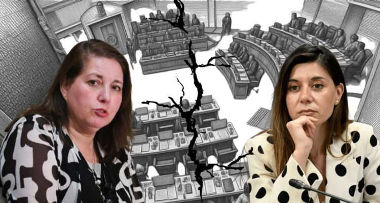 “Soy senadora”: Cicardini responde a ninguneo de Vodanovic durante debate por combustibles