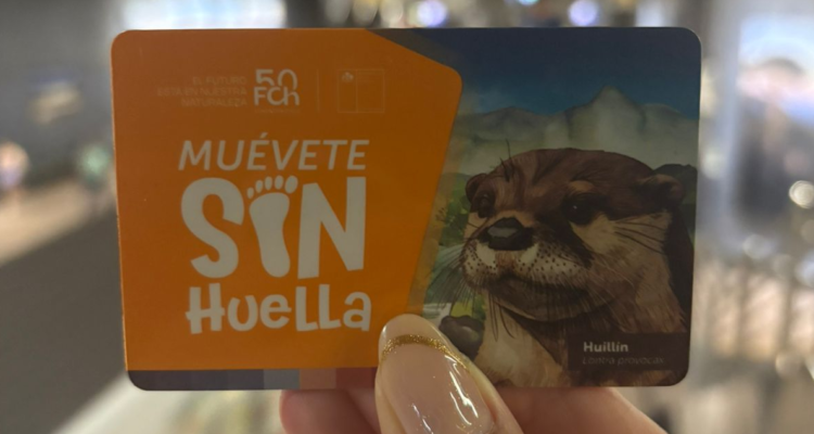 Con la figura del huillín: lanzan nueva tarjeta Bip! para concientizar sobre la crisis climática