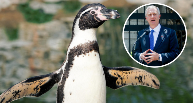 Pixabay | AgenciaUno