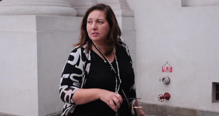 Vodanovic (PS): "No queremos que se rebajen subsidios, dineros en salud ni gratuidad universitaria"