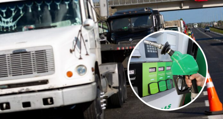 Tras "bencinazo": camioneros de La Araucanía piden a ministro Quiroz "dejar de pensar como empresario"