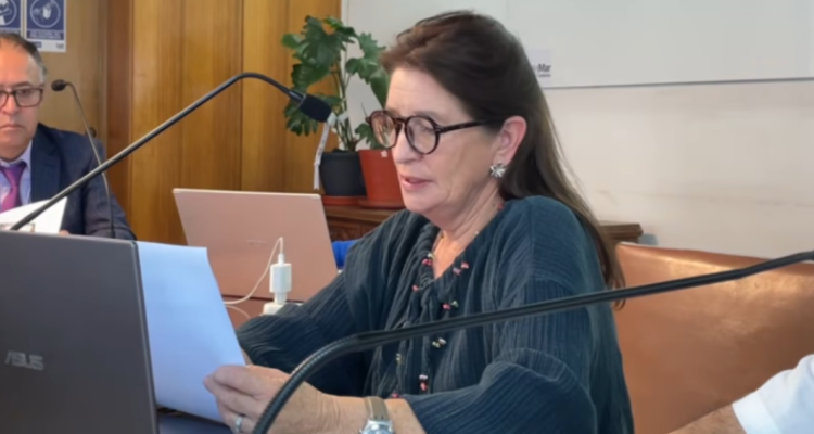 Sesión ordinaria del Concejo Municipal de Viña del Mar