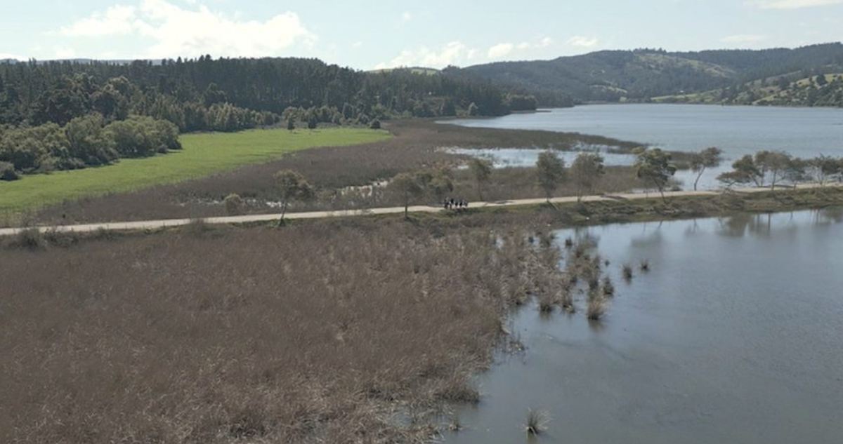 Tribunal Ambiental