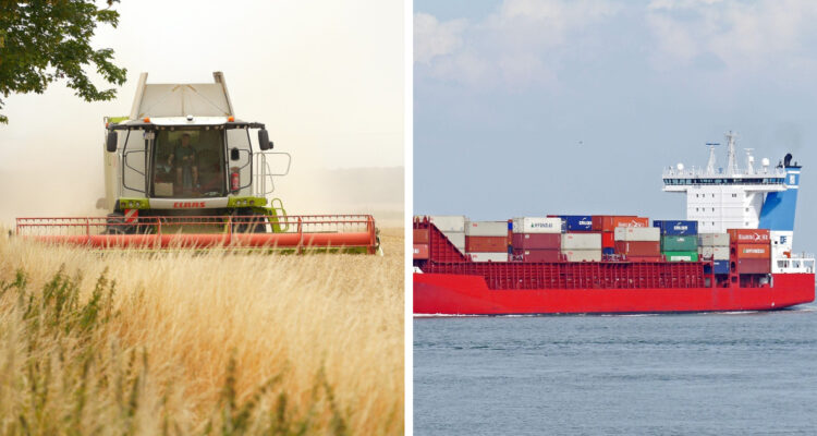 Siguen las alertas: OMC advierte que bloqueo del estrecho de Ormuz amenaza la agricultura mundial