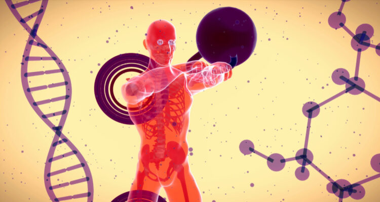 Imagen del cuerpo humano para ilustrar nota sobre el gasto energético