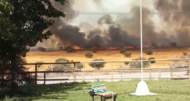 Declaran Alerta Roja para la comuna de La Estrella por incendio forestal: lleva 100 hectáreas afectada