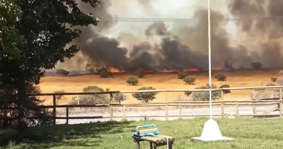 Declaran Alerta Roja para la comuna de La Estrella por incendio forestal: lleva 100 hectáreas afectada