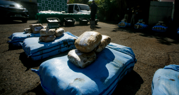 Decomisan 460 kilos de marihuana y 6.700 plantas en la región de Coquimbo