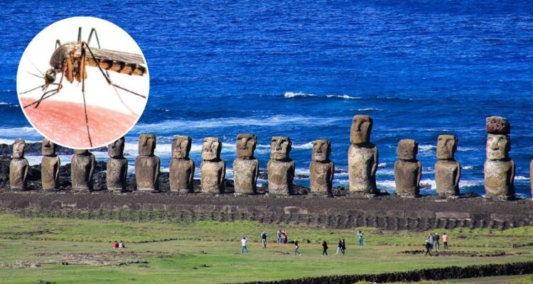 Dengue en Rapa Nui